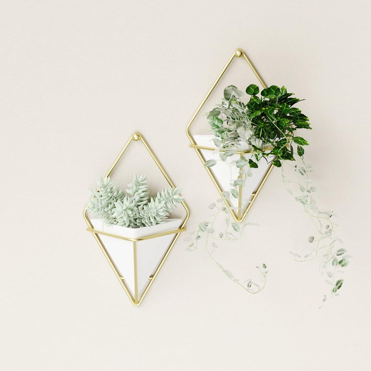 Umbra Trigg Wandvase & Geometrische Deko - Übertopf- Keramik Weiß