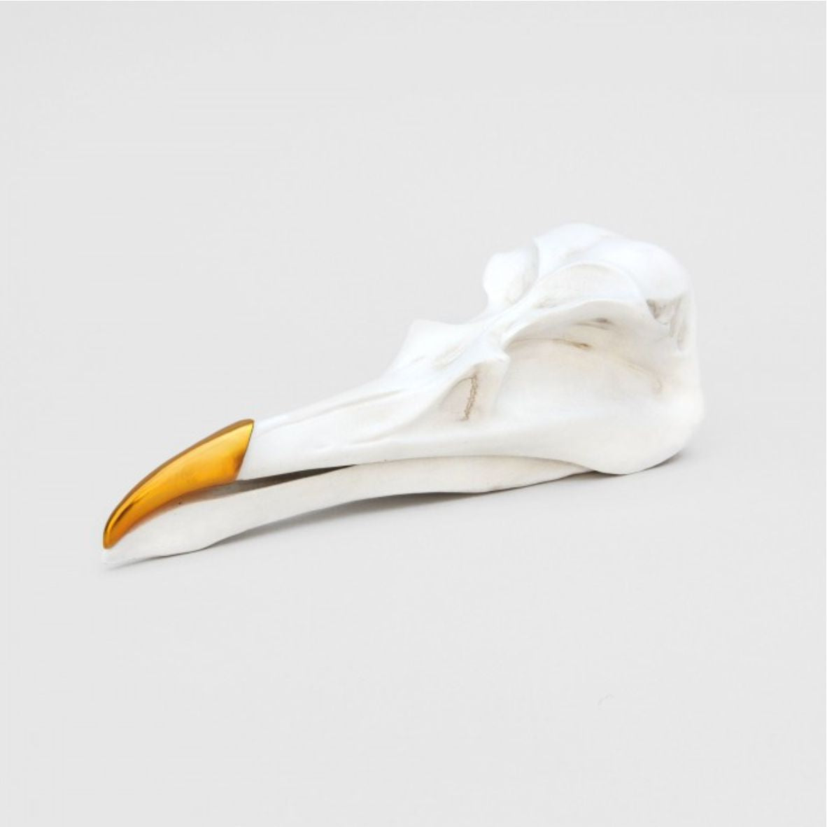 Suck UK | Schmuckbox - BIRD SKULL