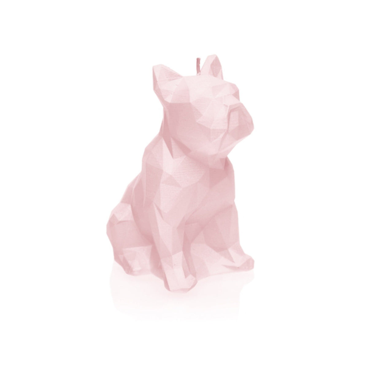 Candellana Bulldog Kerze - hellrosa