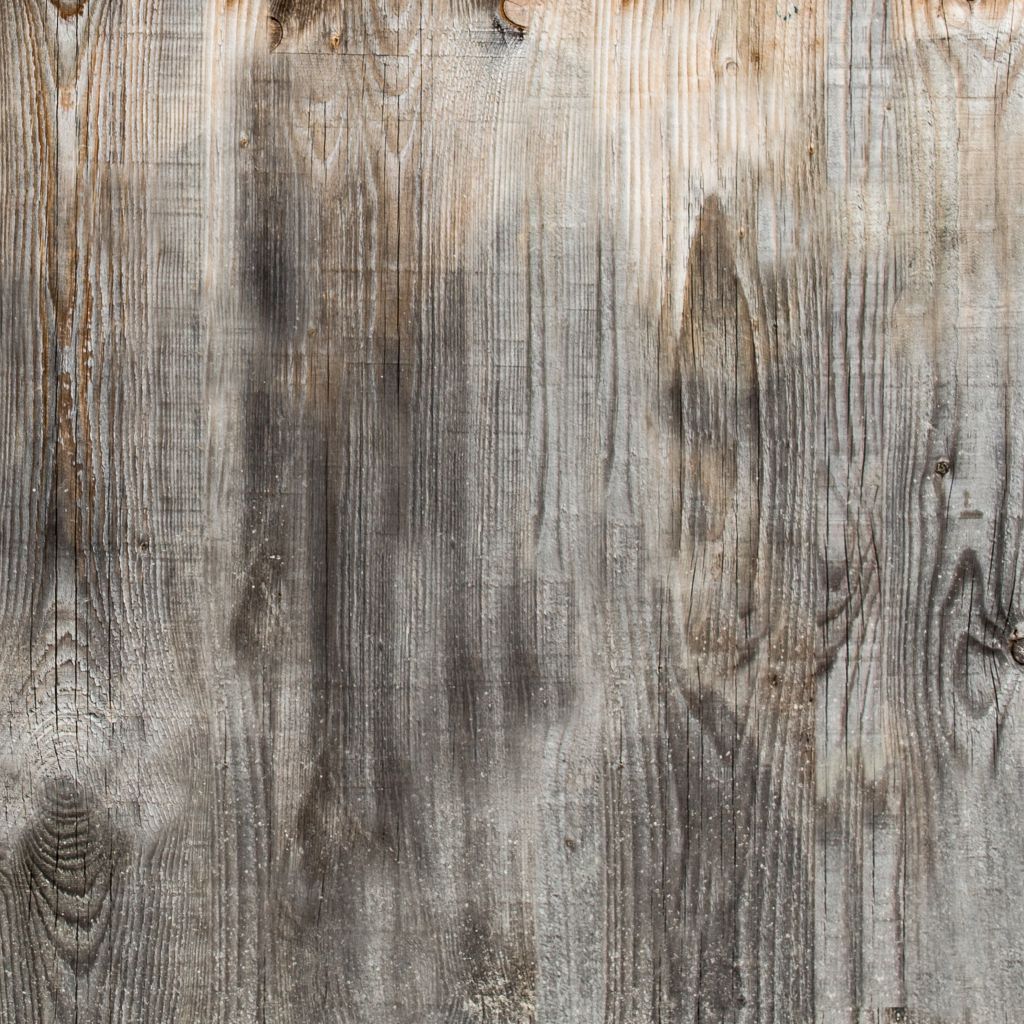 Dekor-Komplettset für Grand California - FOTOFOL