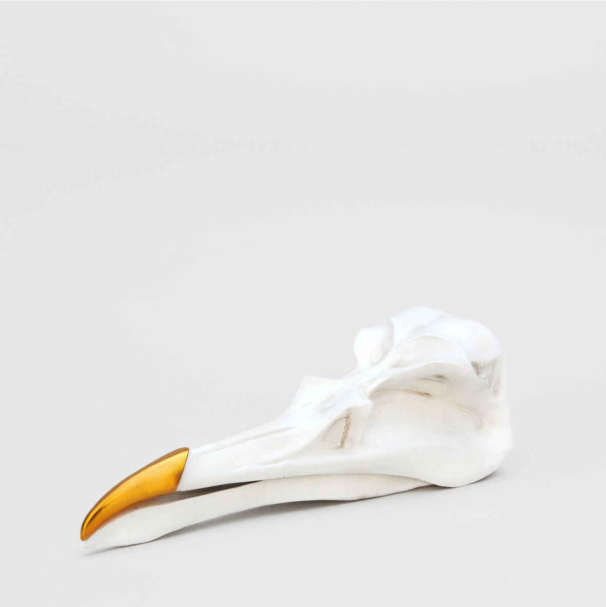 Suck UK | BIRD SKULL - Vogelschädel-Schmuckschale – für deine wertvollsten Schätze