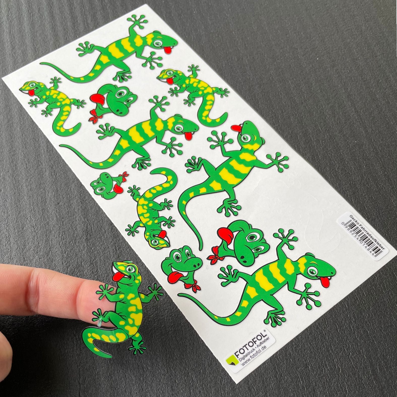 Gecko Fahrradaufkleber Set - FOTOFOL