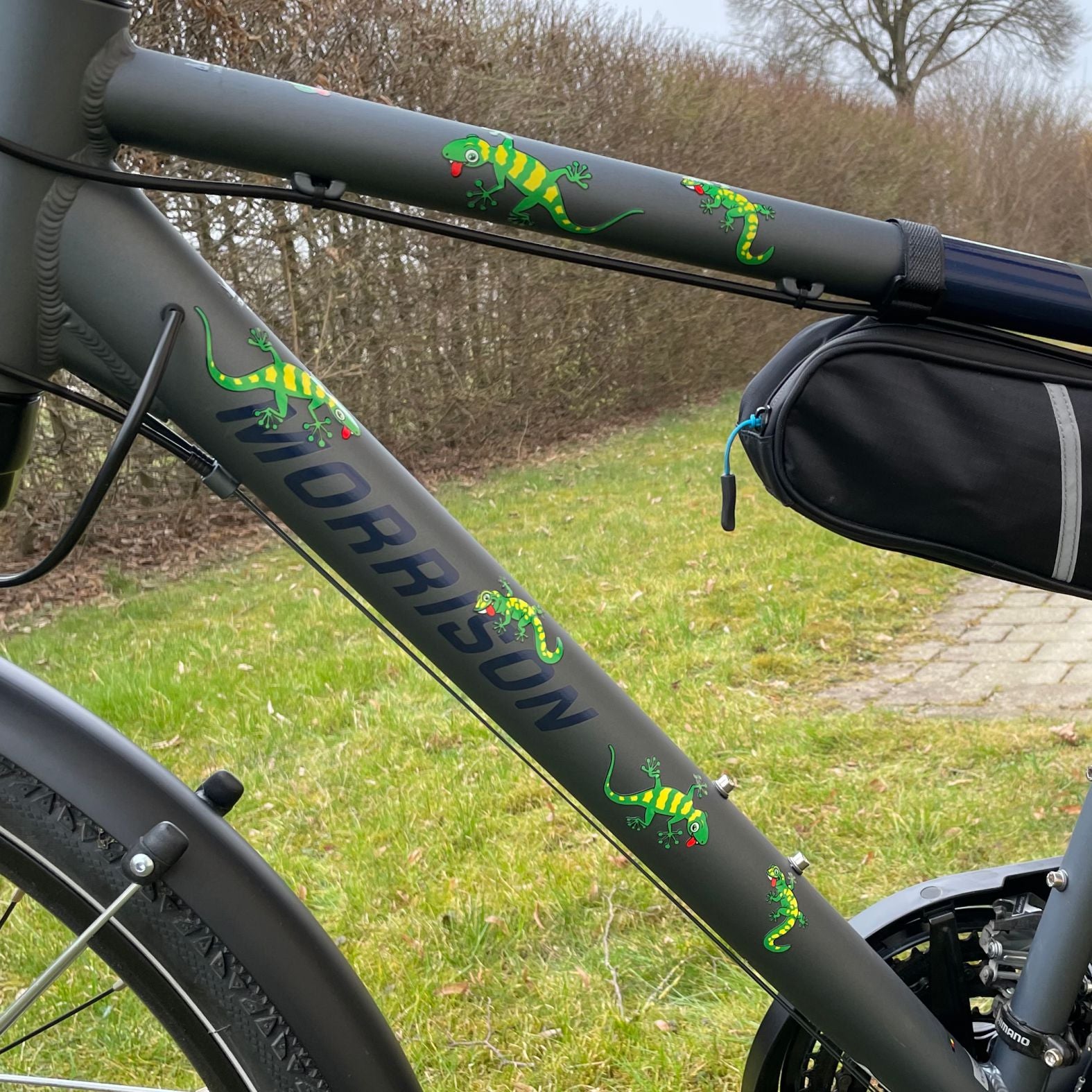 Gecko Fahrradaufkleber Set - FOTOFOL