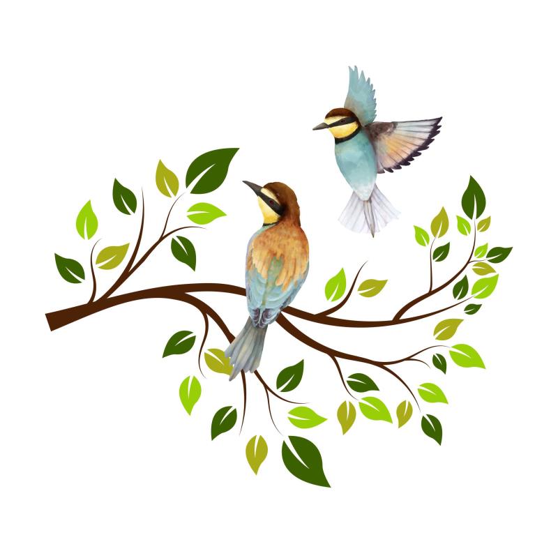 Wandtattoo Schlafzimmer Ast mit Vögeln - FOTOFOL