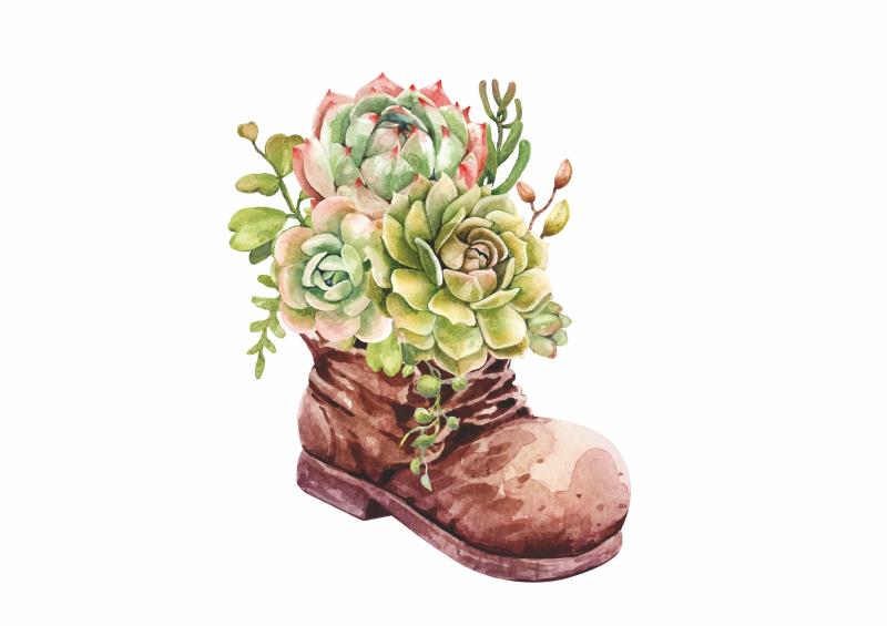 Wandtattoo Flur Deko Aquarell Sukkulente Pflanze in Regenstiefeln - FOTOFOL