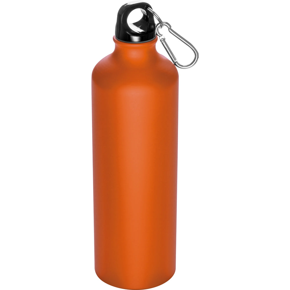 Trinkflasche aus Metall mit Karabinerhaken, 800ml THEODORE