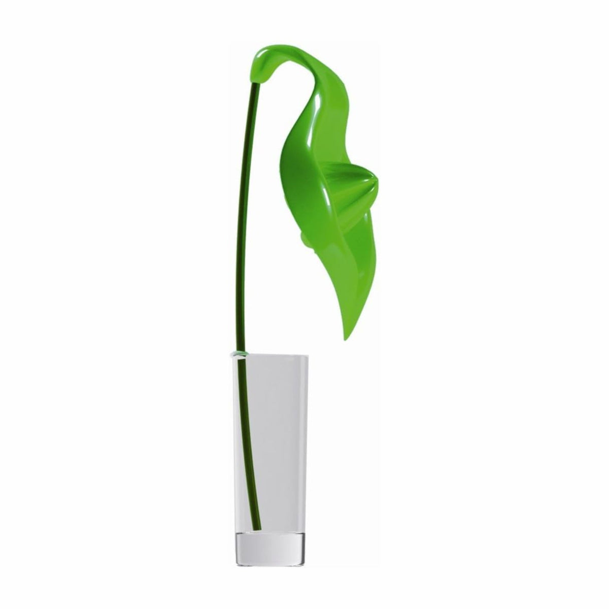VinoLife Legnoart Spicy AT1G Anthurium Entsafter mit Glas, Grün