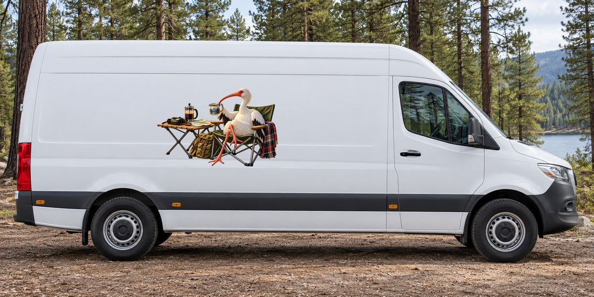 Ibis mit Kaffeepause – Beispiel am Kastenwagen
